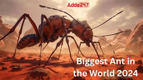 biggest ant ever found.